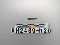 藏品(磨製石針)的圖片